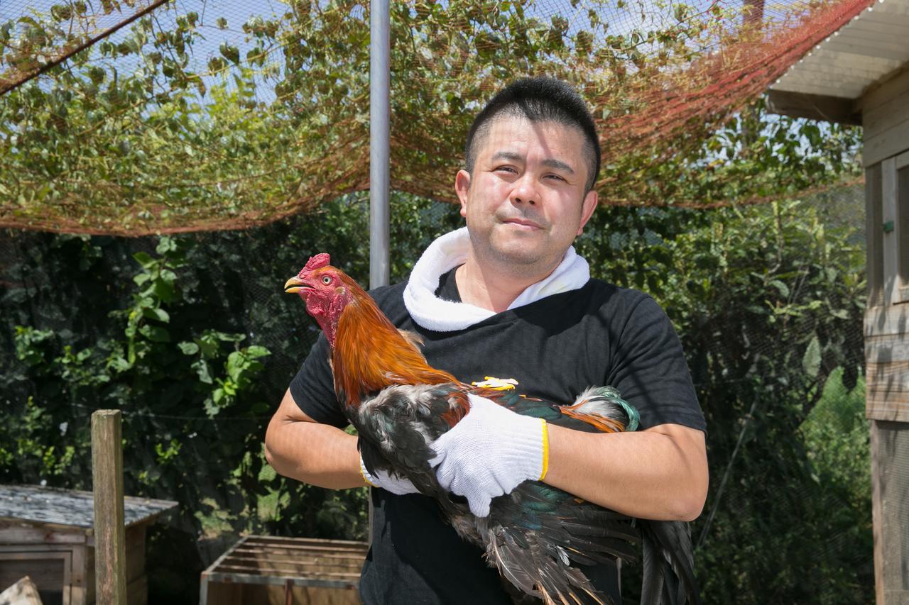 Sazareishi Takashima 호텔 노베오카 외부 사진